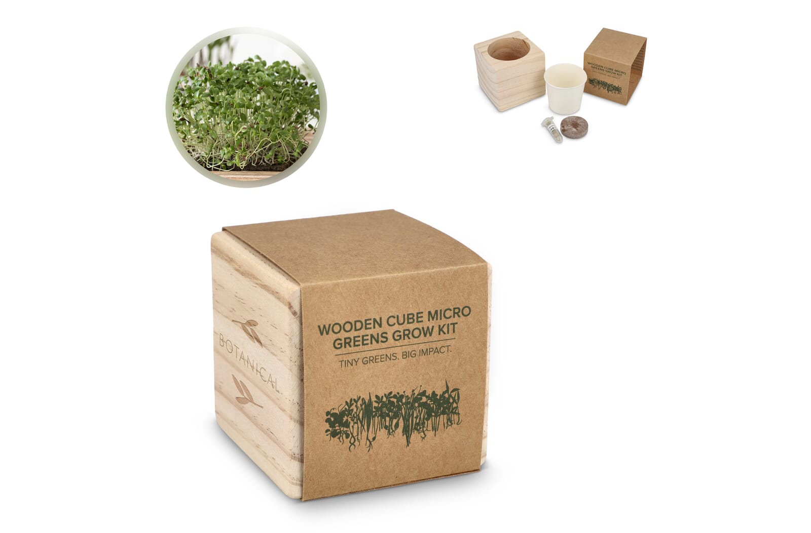 FSC-Holzpflanzentopf - Keimsprossen