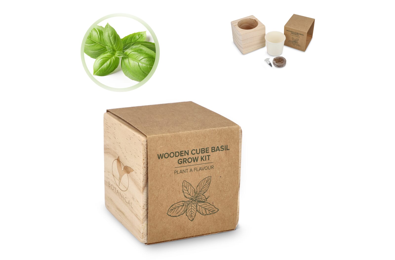 FSC Holz-Pflanzkasten-Set – Basilikum