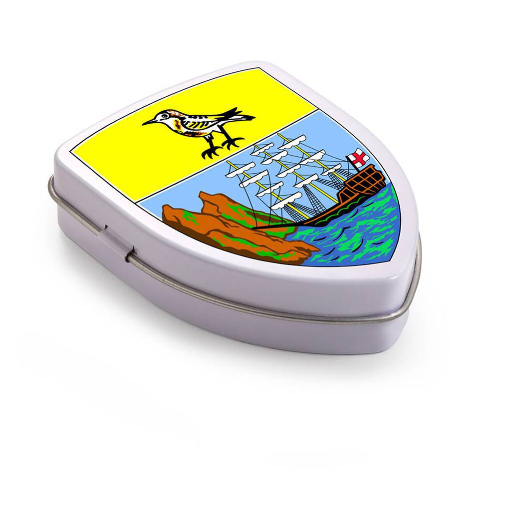 Schutzschild-Dose - Ilsenburg bedrucken mit Logo