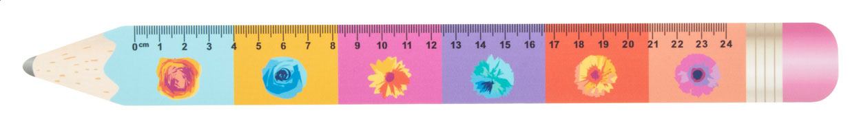 Règle Flexible Crayon 24 cm - Aubéguimont
