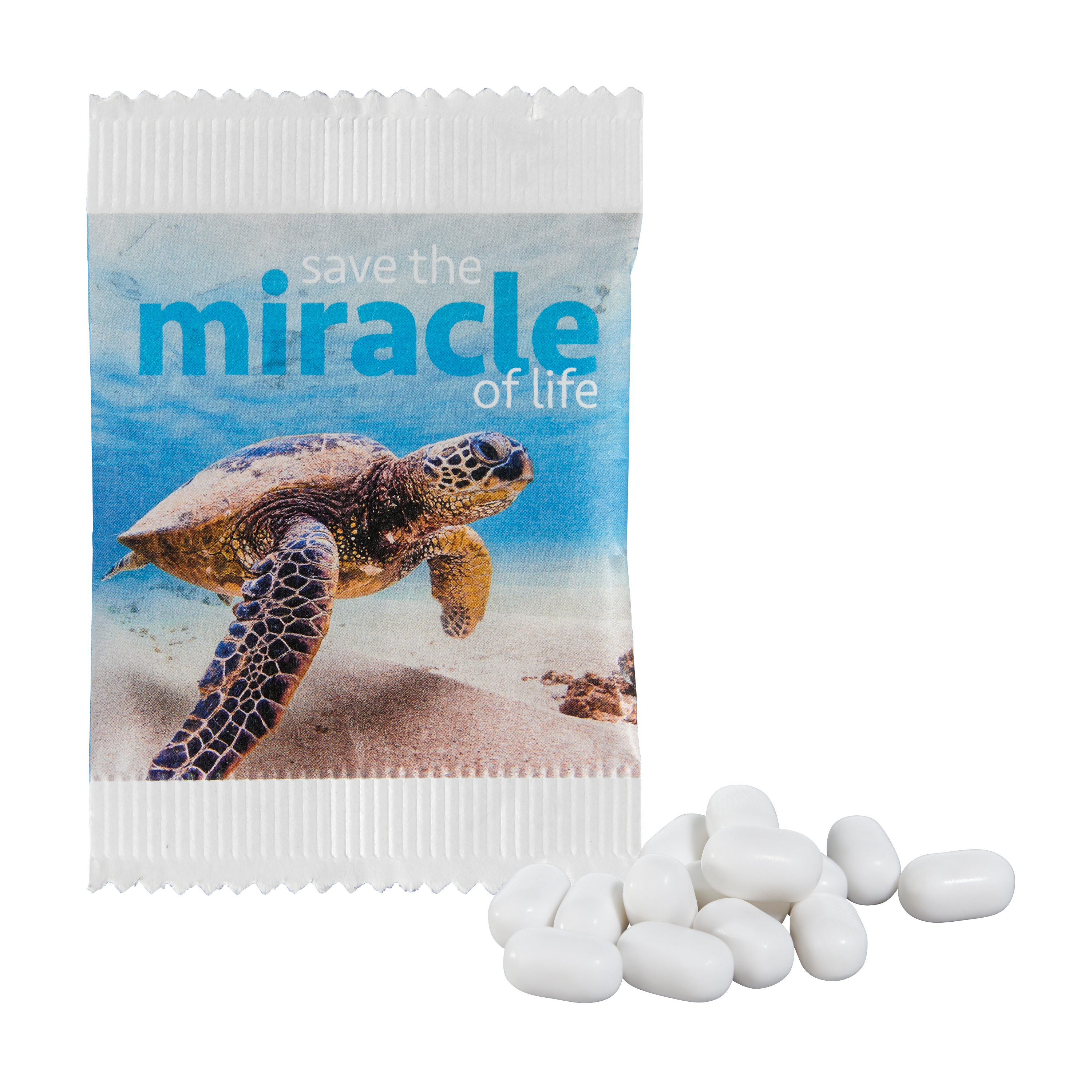 Frische Minze in Papierbeutel - Bad Kreuznach