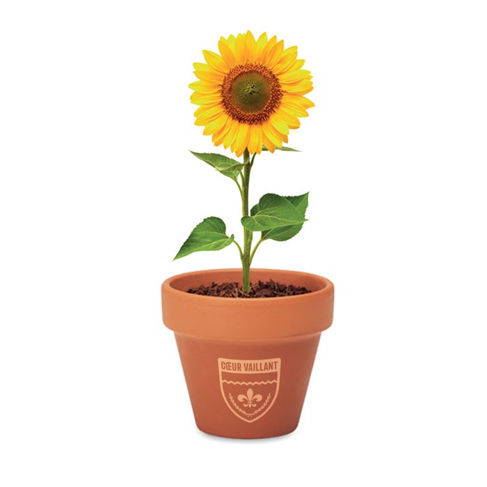 Plante personnalisée - | Zaprinta Luxembourg Plante personnalisée - | Zaprinta Luxembourg
