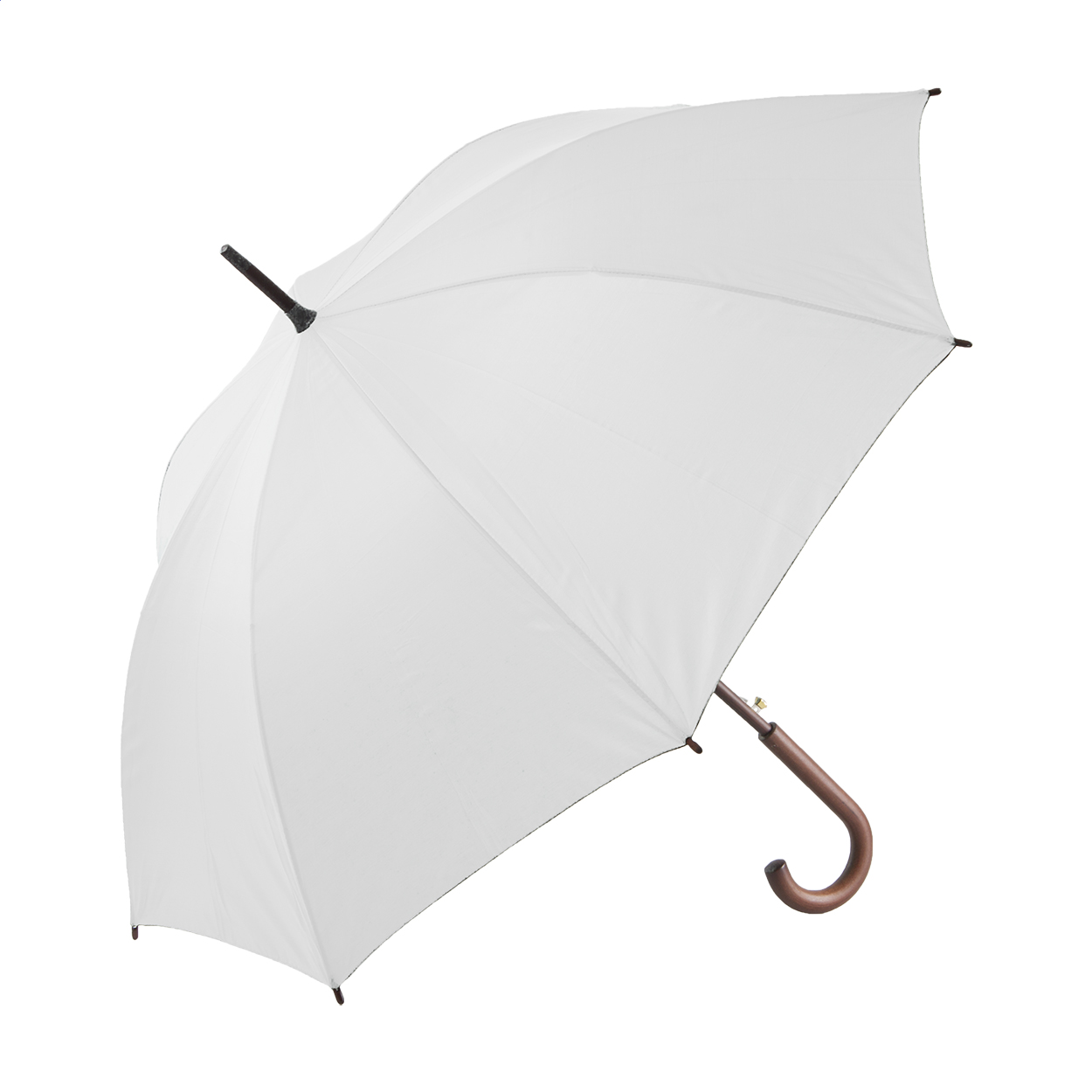 Parapluie Automatique Élégance - Chassant