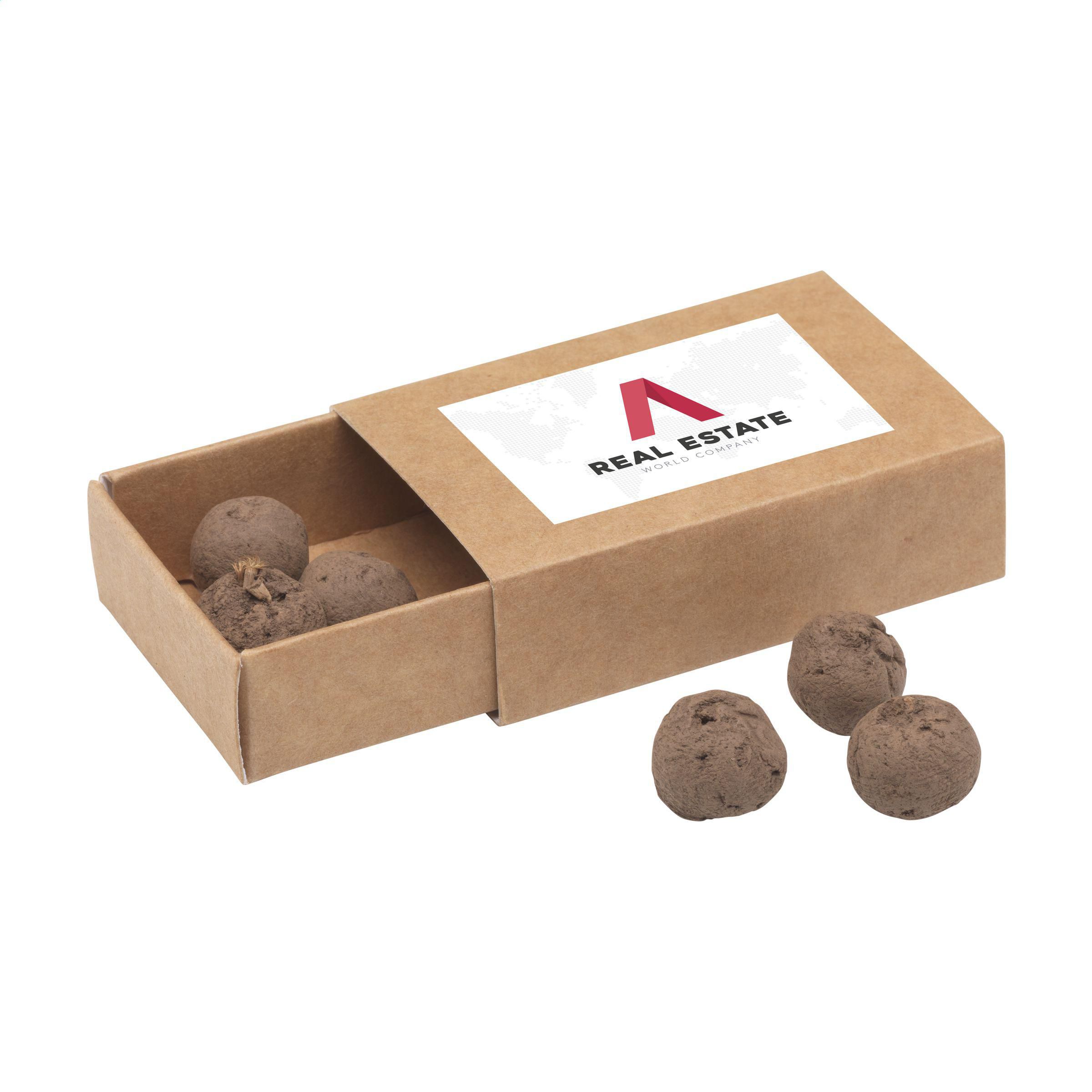 Mini-Ökosystem Saftige Grüne Kugeln