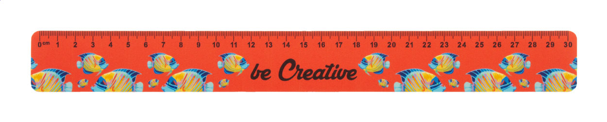 Règle Flexible 30 cm - Moiry