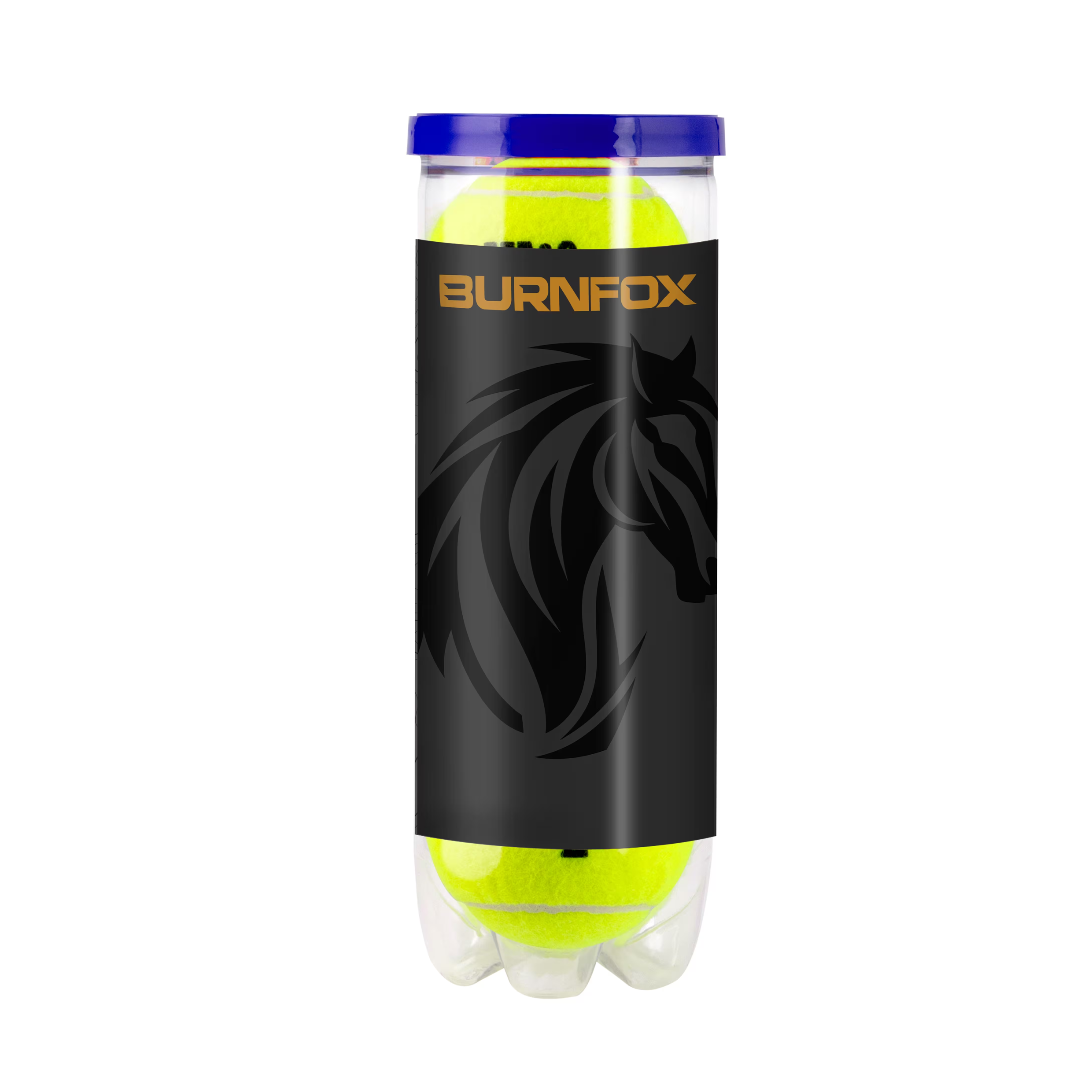 Balles de tennis Wilson Roland Garros